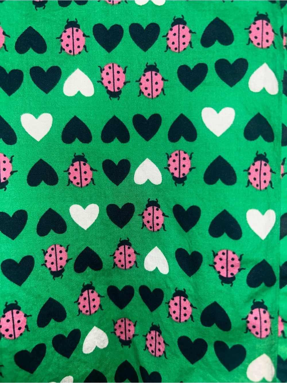 Talbots Green Button-Up Shirt with Pink Ladybug & Navy Hearts - Picture 8 of 9